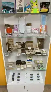 Дрим Хаус - 15