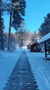 Кордона Нарым - 18