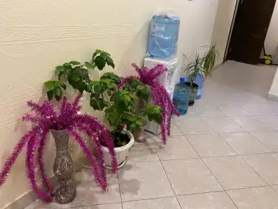 Трактир у Прокопа - 61