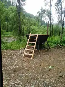 Снегири - 1