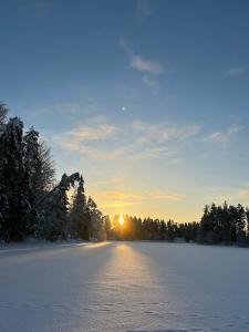 DachaLand - 31