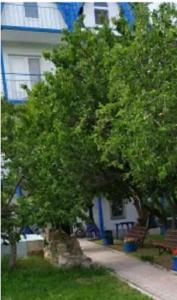 Вирджиния - 6