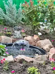 Добрый Дом - 7