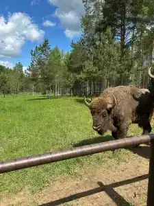 Петровское озеро - 27