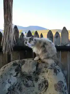 Южное кочевье - 16