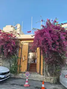 Salinas Bodrum - 98