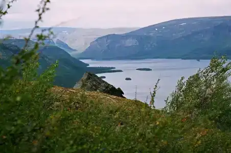 Медвежий угол - 5