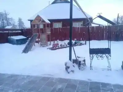 Гости в бору - 43