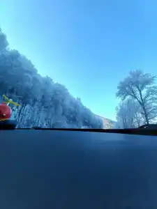 Кедр - 5