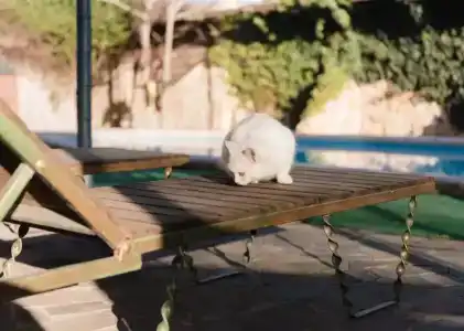 Форт Апатур - 15