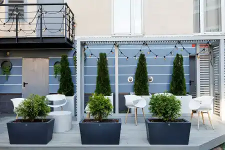 Palace Bridge Hotel - 46