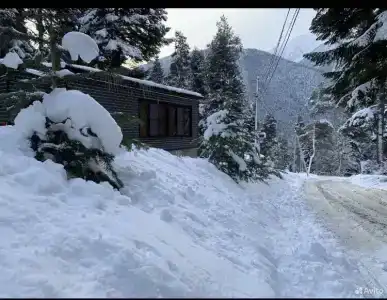 Urus-House - 1