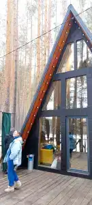 Шелест - 45