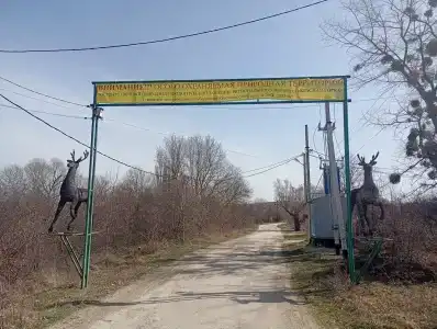 Три вершины - 5