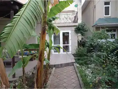 Прибрежный - 0