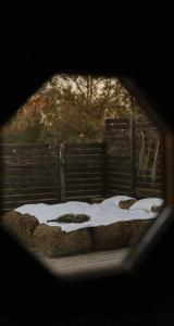 Холки camp - 27