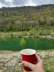 Платан - 46