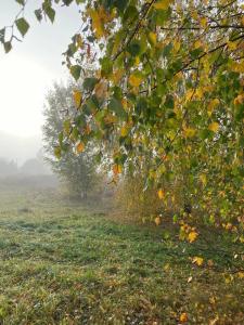 Дубль Дача - 12