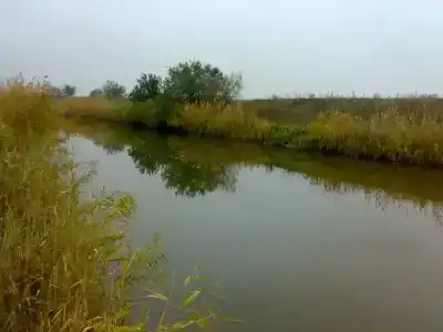 Парк Киммерия - 39