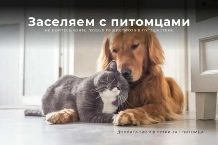 Квартиры на Ленинградской 144 - 16