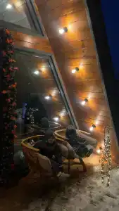 Ильинка лес - 65