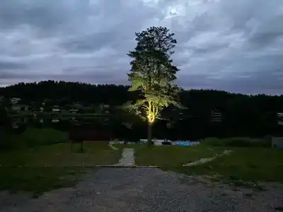 Гостевой комплекс в д. Нурмолицы - 38