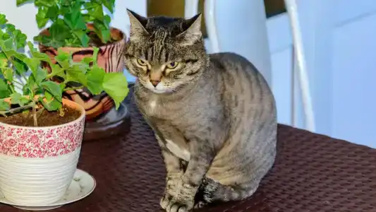 Тихий Рай - 47