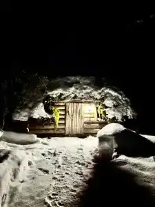 Медвежий угол - 46