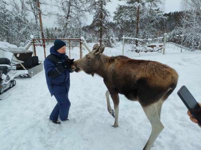 Заимка Отдых Пантовые ванны - 40