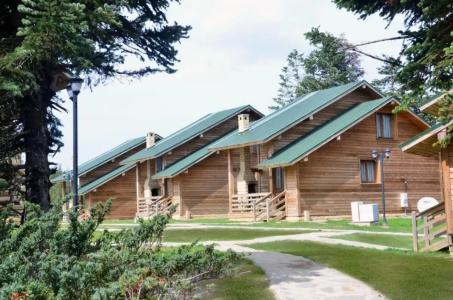 Uludag Orman Koskleri - 39