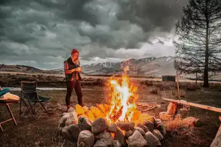 Лес и Ветер - 16