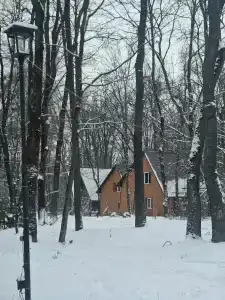 Алмаз - 28