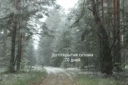 Пчелинцево - 57