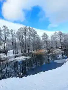7 мостов - 29