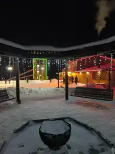 Сосновый - 23
