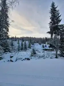 На паузе - 98