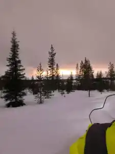 Хаски Кэмп - 61