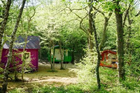 Эколоджия - 11