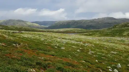 Олёнка лодж - 51