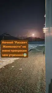 Жимолость - 9