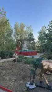 Веселый Маныч - 46