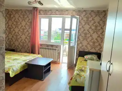 Алиса - 23