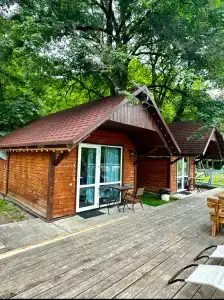Кактус Арт - 3