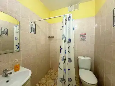 Вистерия - 6