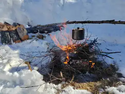 Compass Sosnovaya - 10