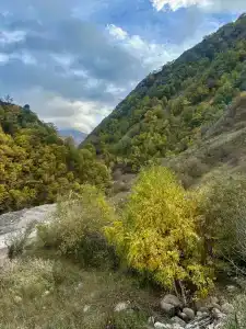 Сафари Парк - 43