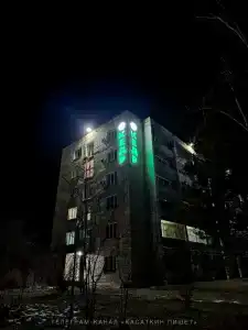 Кедр - 10