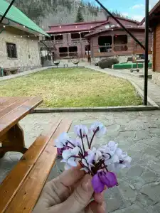 Горный воздух - 15