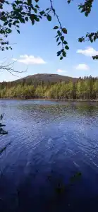Рыболофф.ру - 33