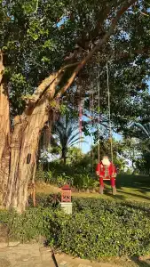 Sheraton Sanya Yalong Bay Resort - 59